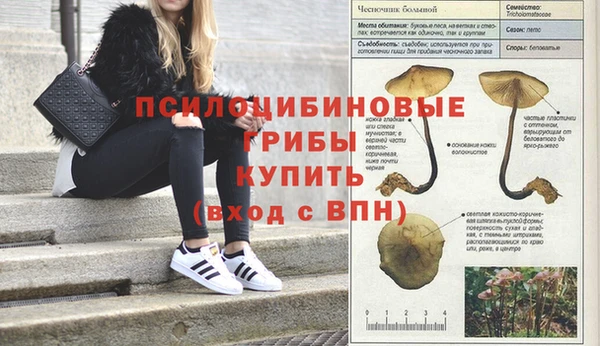 гашик Верхний Тагил