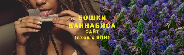 дурь Верея